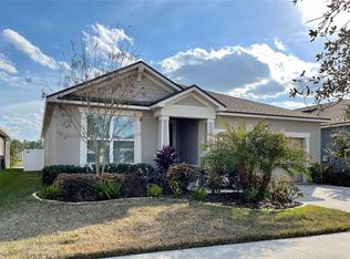 13205 Orca Sound Dr, Riverview, FL 33579