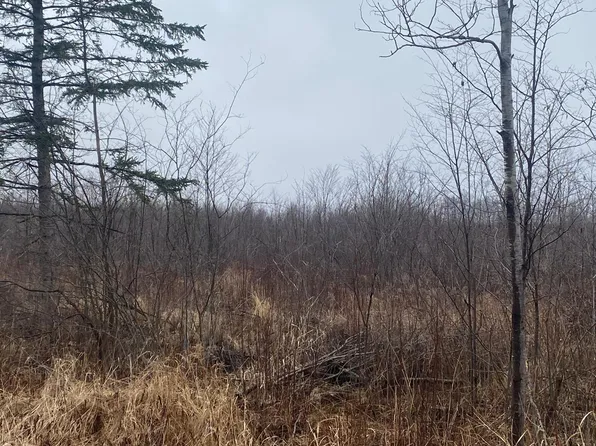 On Shauger Rd, Ogema, WI 54459