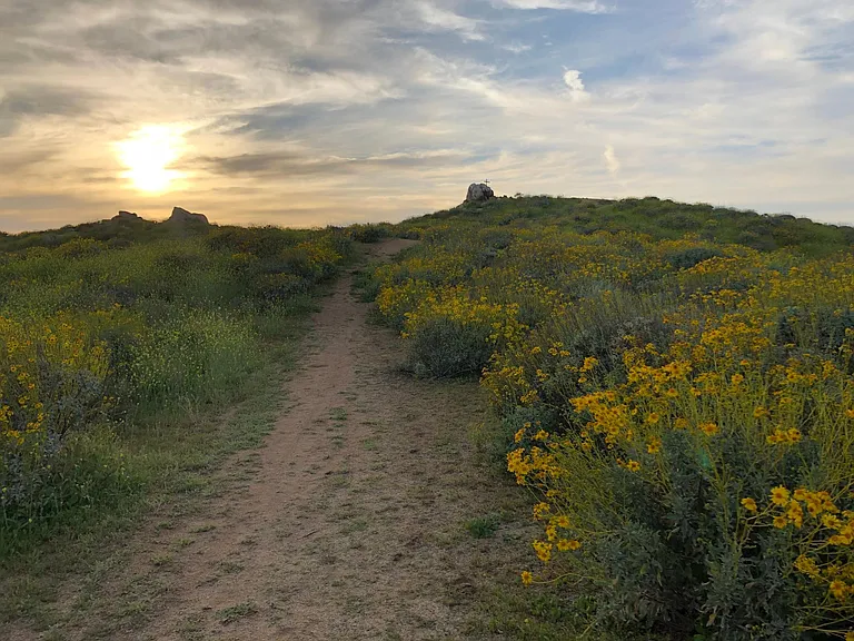 Basalt Way — Photo 25