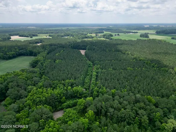 0 Wilcox Lane, Vanceboro, NC 28586