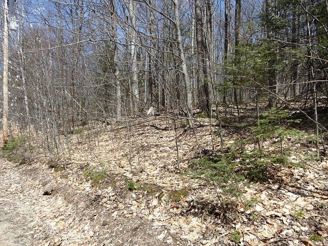 2nd image of Tbd N Tie Lake Rd