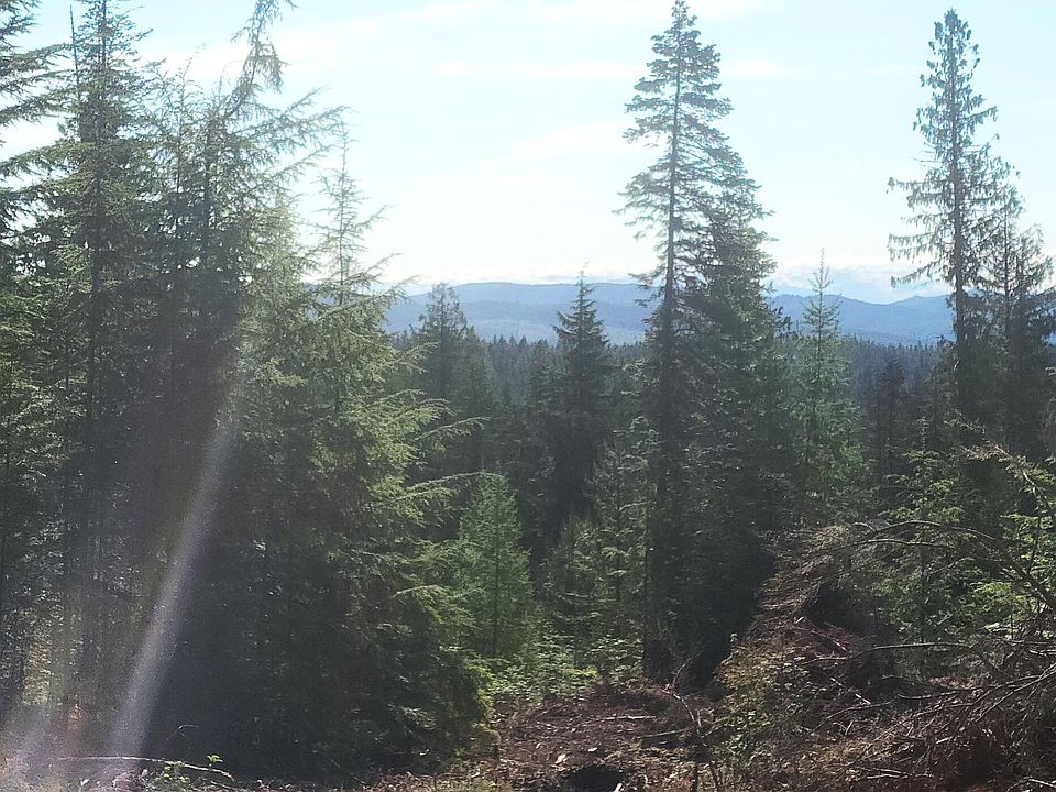 2nd image of 0 Ryan Loop