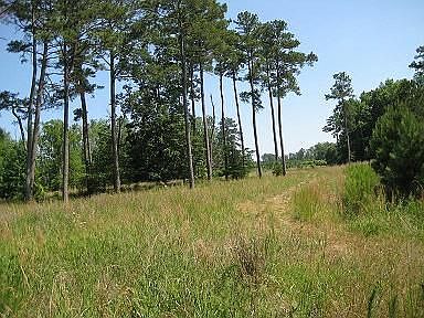 This Property is Zoned for Horses