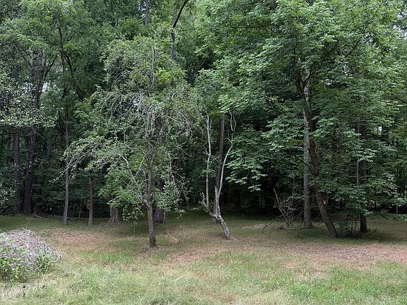 3rd image of 5806 Wilkins Drive
