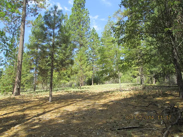 Fiske Rd photo 1