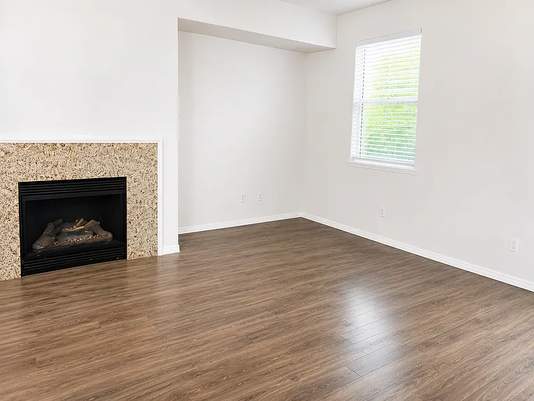 1036 Flowering Ash Dr — Photo 4