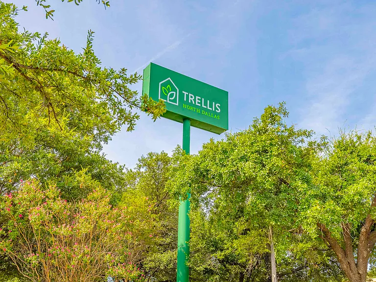 Trellis North Dallas — Photo 23