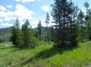 20780 Hame Trl, Oak Creek, CO 80467