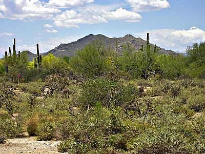 2nd image of 7327 E SONORAN Terrace #46