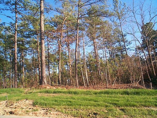 2nd image of 145 Golden Oak Dr