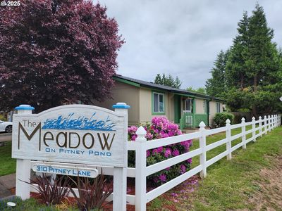 310 Pitney Ln UNIT 1, Junction City, OR, 97448