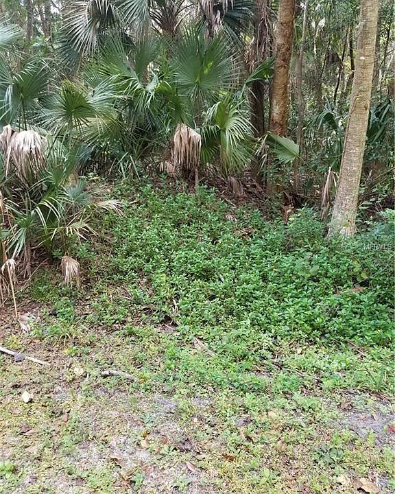 2nd image of 210 Sepp Rd