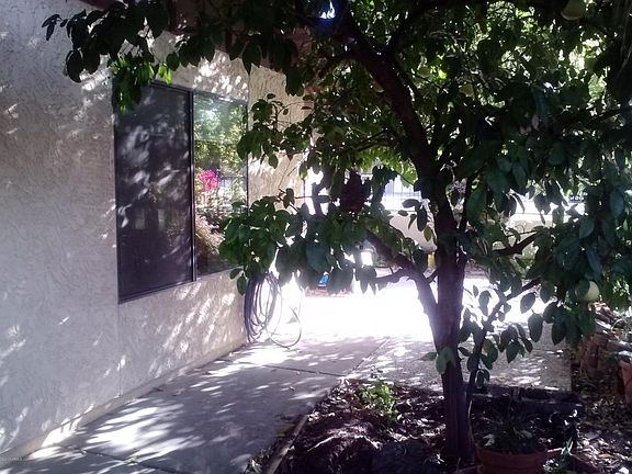 3rd image of 2529 W Kiva Ave