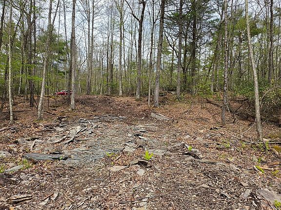 5th image of Lot 82 Perry Pond Road
