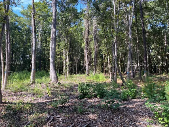 51 Mary Smalls Rd, Saint Helena Island, SC 29920