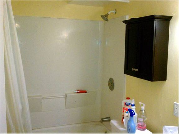Lower Level Bathroom 2