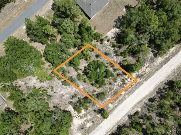 1547 W Pendleton St, Citrus Springs, FL 34434