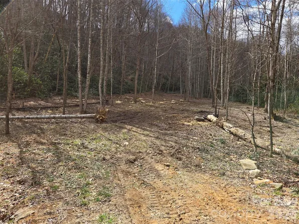 0 Laurel Branch Rd, Waynesville, NC 28785