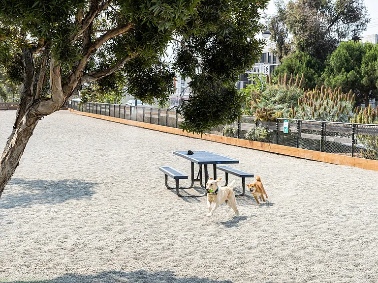 Mission Bay by Windsor is pet friendly and located minutes from Mission Creek dog park