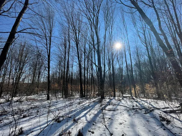 4537 W Herrick Rd, Farwell, MI 48622