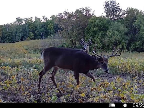 3rd image of 11.97 Acres 230th Street