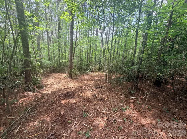 0 Gold Creek Point #4, Union Mills, NC 28167