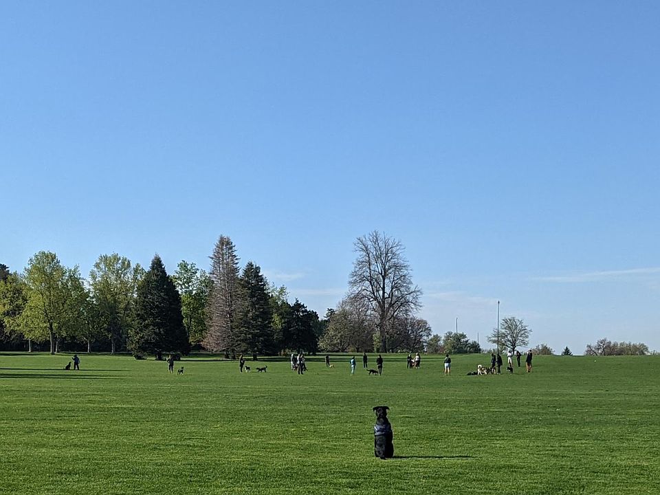 Cheesman Park
