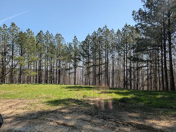 3rd image of LOT 2241 Riverbend Rd