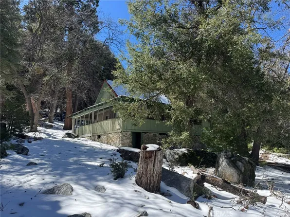 9264 Wood Rd, Forest Falls, CA 92339