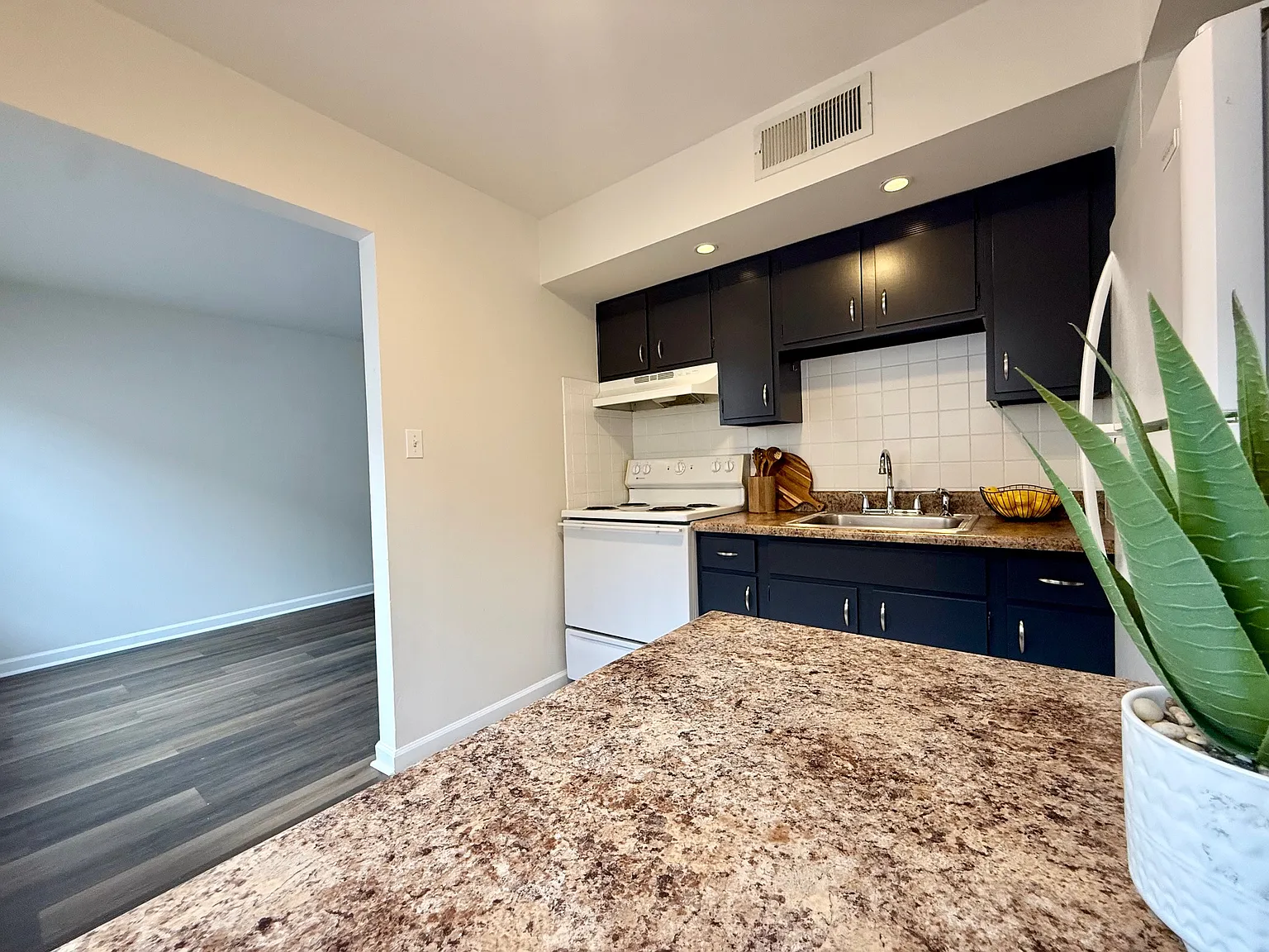 1 bed, 800 sqft, $895 — Photo 2
