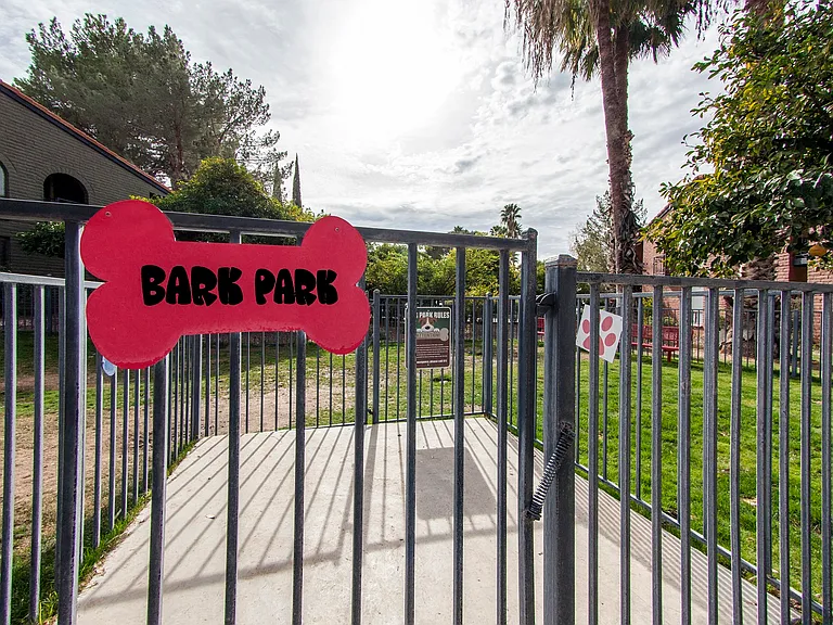 Mission Palms — Photo 10