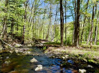 Parksville Rd, Parksville, NY 12768