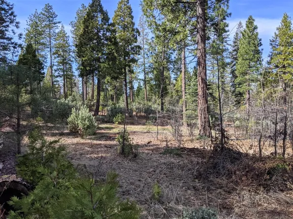 5 Waterleaf Ln, Shingletown, CA 96088