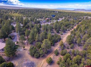 556 Badger Trl S, Ridgway, CO 81432