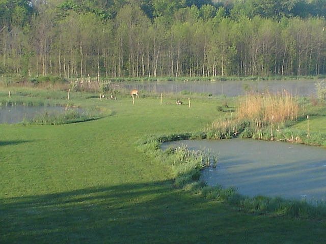 facing towards back of lot