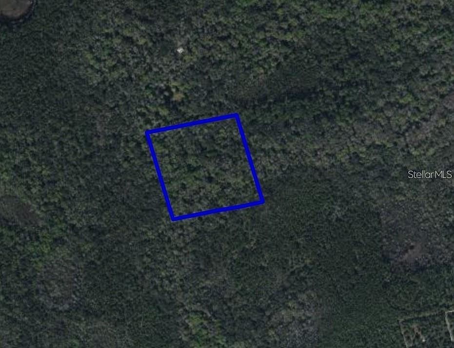 2nd image of 095 PINE NEEDLE ROAD