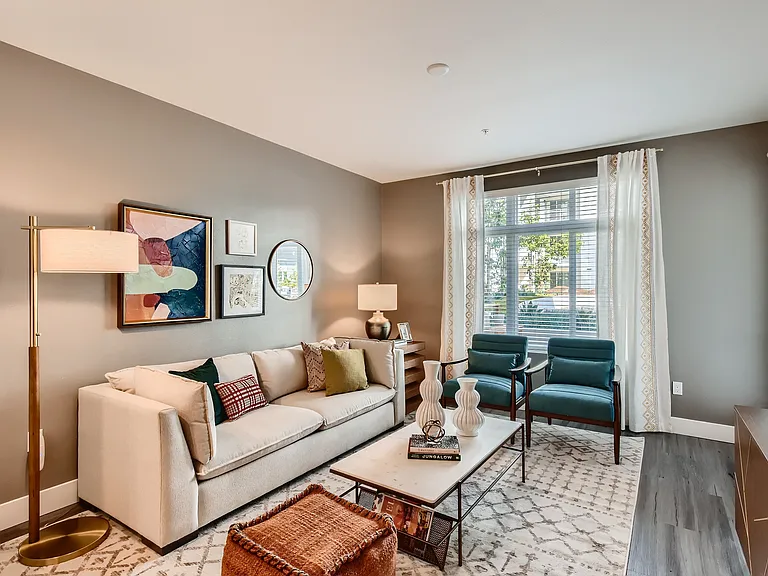 Vive Luxe, San Diego, CA, Living Room