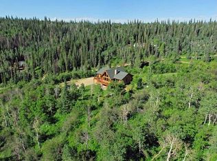 29995 Bear Trl, Steamboat Springs, CO 80487