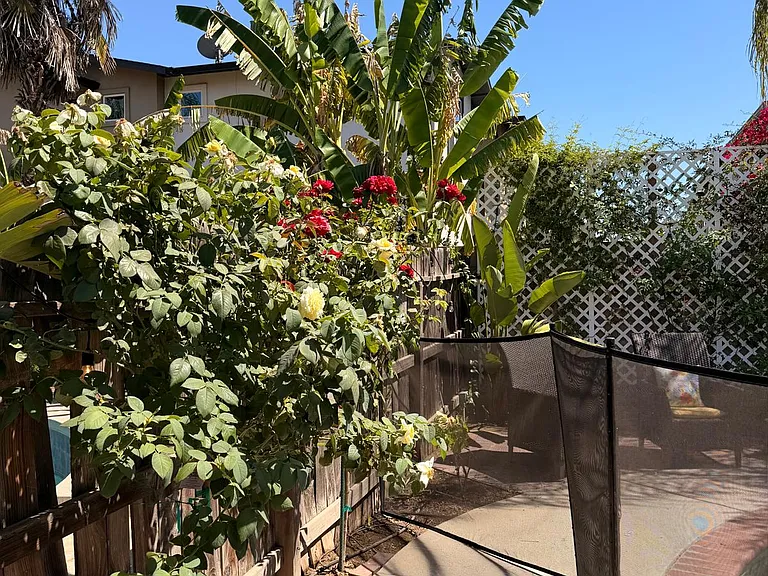 2877 E Jon Dr — Photo 17