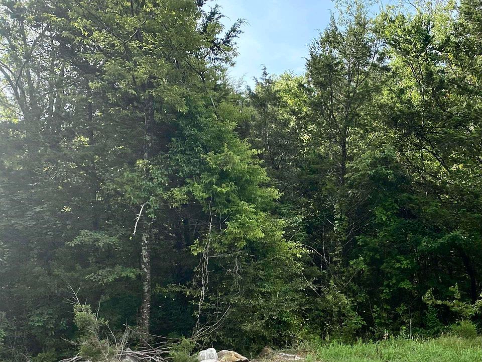 2nd image of 9010 County Road 434