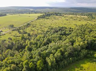 Wplot 2 Reed Rd, Friendship, NY 14739