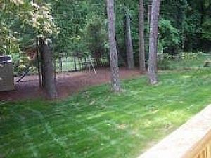 5th image of 691 Stewart Cir