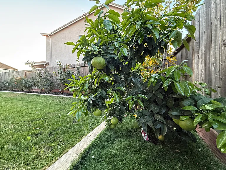 12920 Knightsbrook Ave — Photo 50