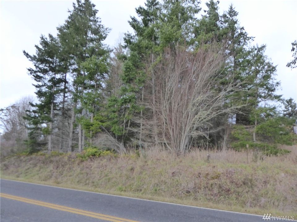 SE corner of the property along Cape George Rd.