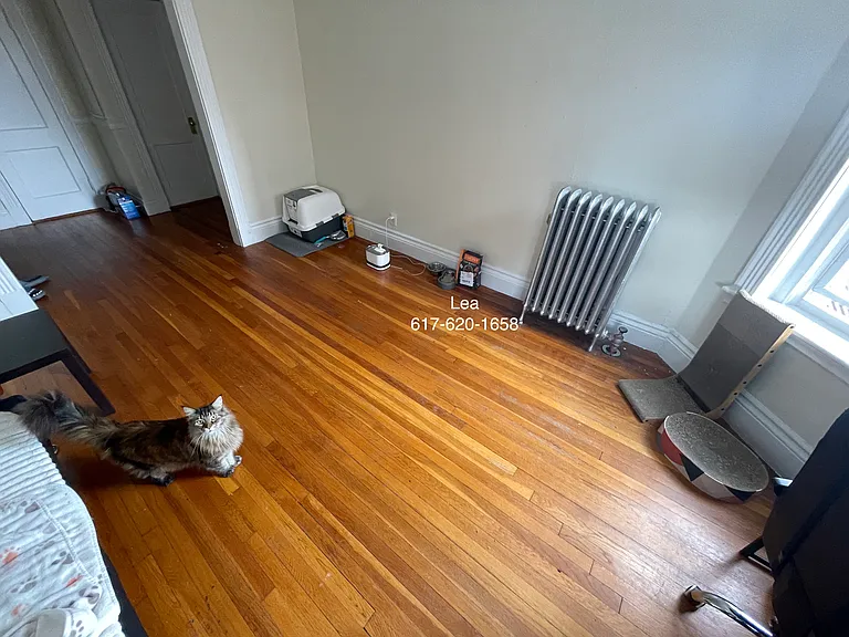 5 Walbridge St #12 — Photo 3