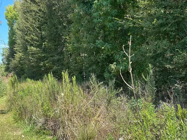 38375 State Highway 979, Prairieville, LA 70769