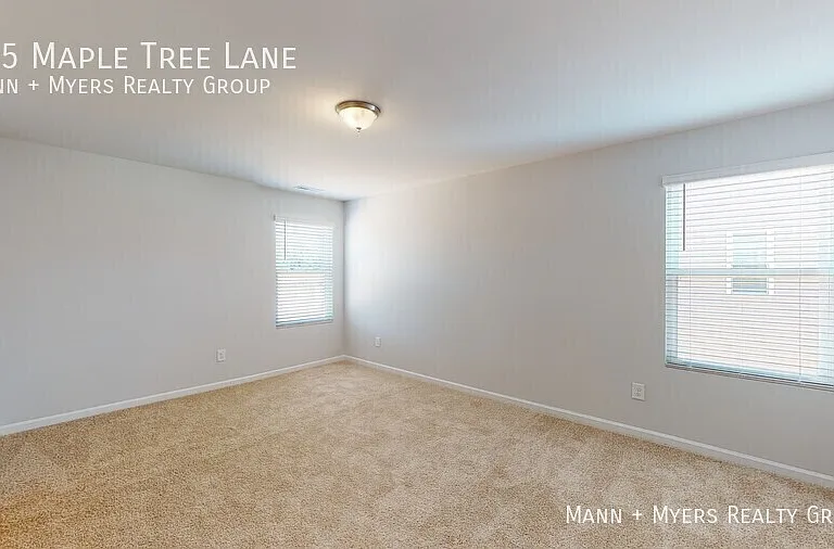 135 Maple Tree Ln — Photo 29