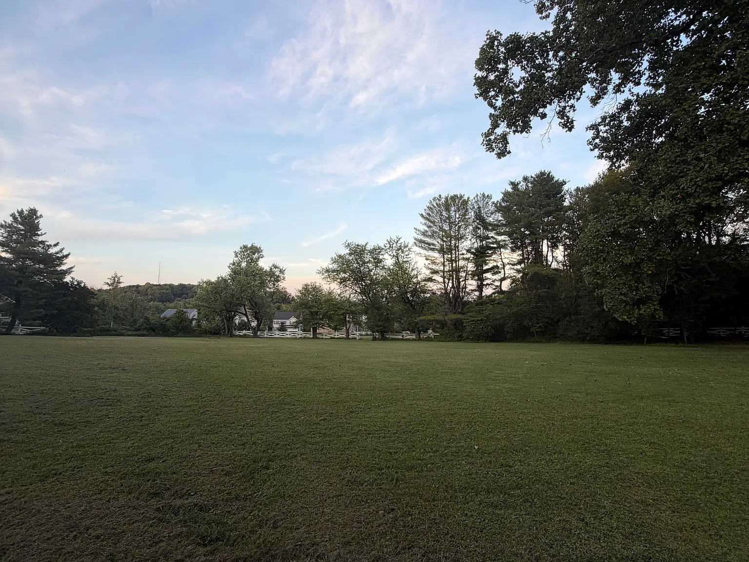 1 bed, 1254 sqft, $1,700 — Photo 3