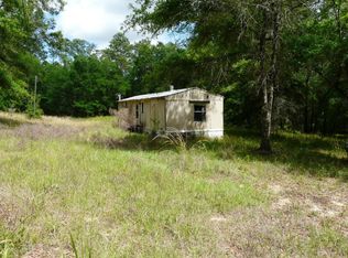 157 S Otis Ave, Lecanto, FL 34461