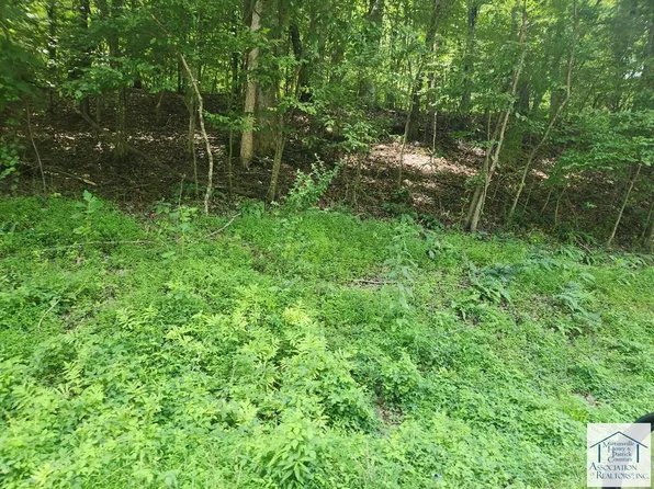 0 Carver Rd, Martinsville, VA 24112